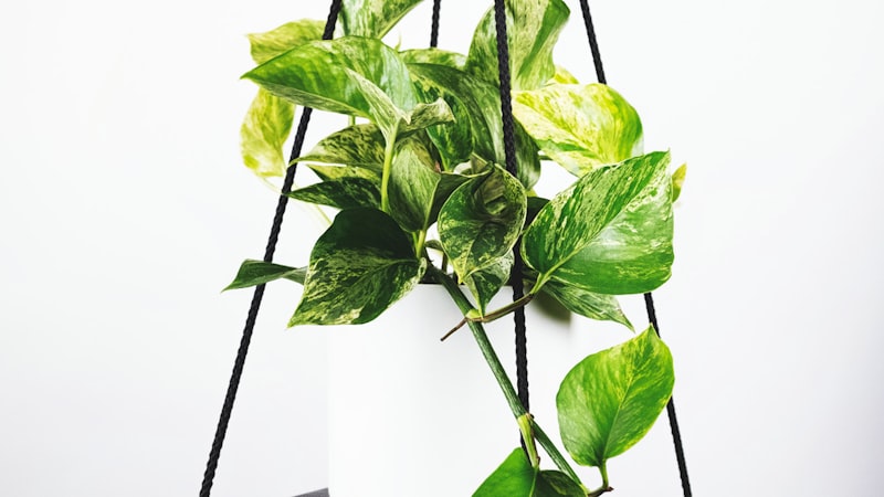 国际足联官员宣布2026年世界杯门票销售计划新闻发布会现场