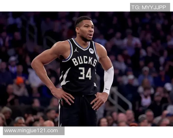 雄鹿球迷投票：仅23%支持摆烂，字母哥未来成焦点